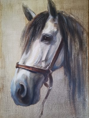 CABALLO 01 55X38 P CABALLO 01 55X38 P