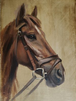 CABALLO 02 55X38 P CABALLO 02 55X38 P
