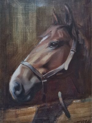 CABALLO 03 55×38 P CABALLO 03 55x38 P