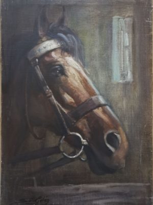 CABALLO 06 55×38 P CABALLO 06 55x38 P