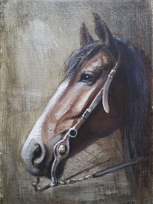 CABALLO 07 55×38 P CABALLO 07 55x38 P