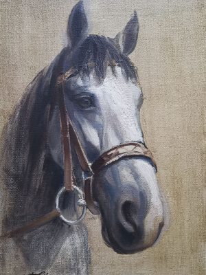 CABALLO 10 38×55 P CABALLO 10 38x55 P